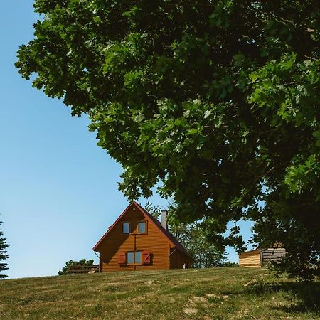 Villa Widokowka Kaszuby Mirachowo Exterior foto