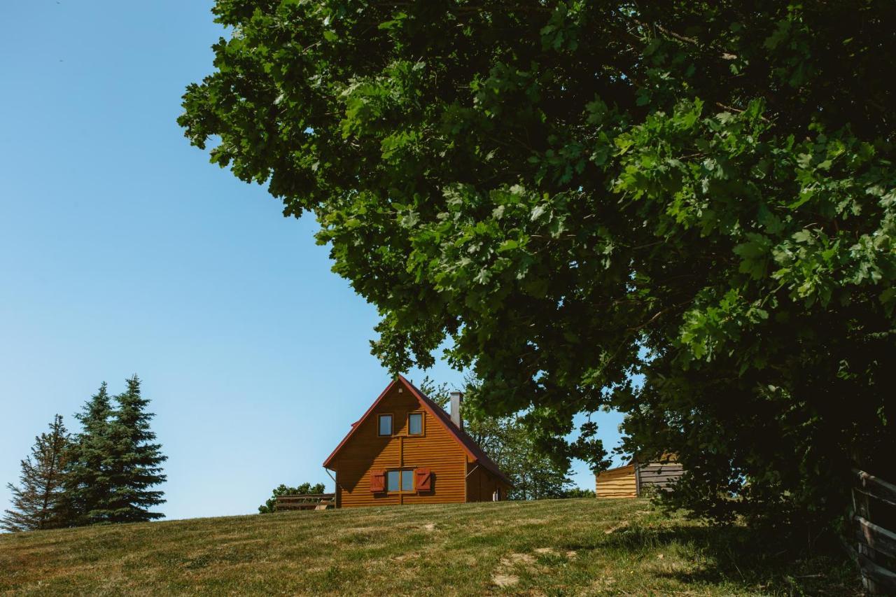 Villa Widokowka Kaszuby Mirachowo Exterior foto