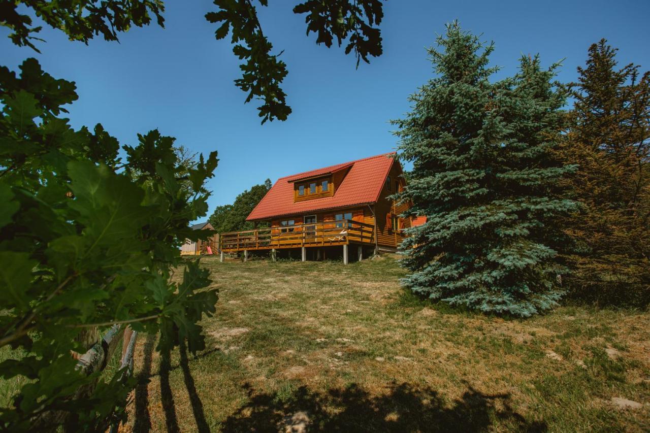 Villa Widokowka Kaszuby Mirachowo Exterior foto